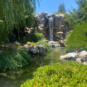 Meet your Posher, Saki